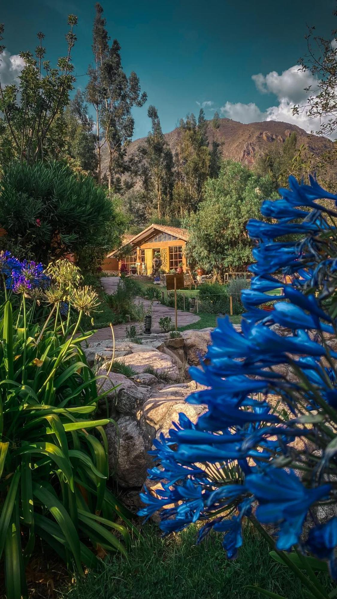 Andean Wings Valley Урубамба Екстер'єр фото